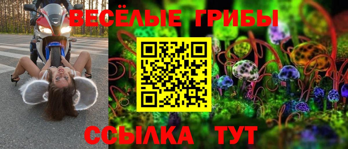 Галлюциногенные грибы Psilocybine cubensis  продажа наркотиков  Химки  Галлюциногенные грибы GOLDEN TEACHER  Вход с VPN 