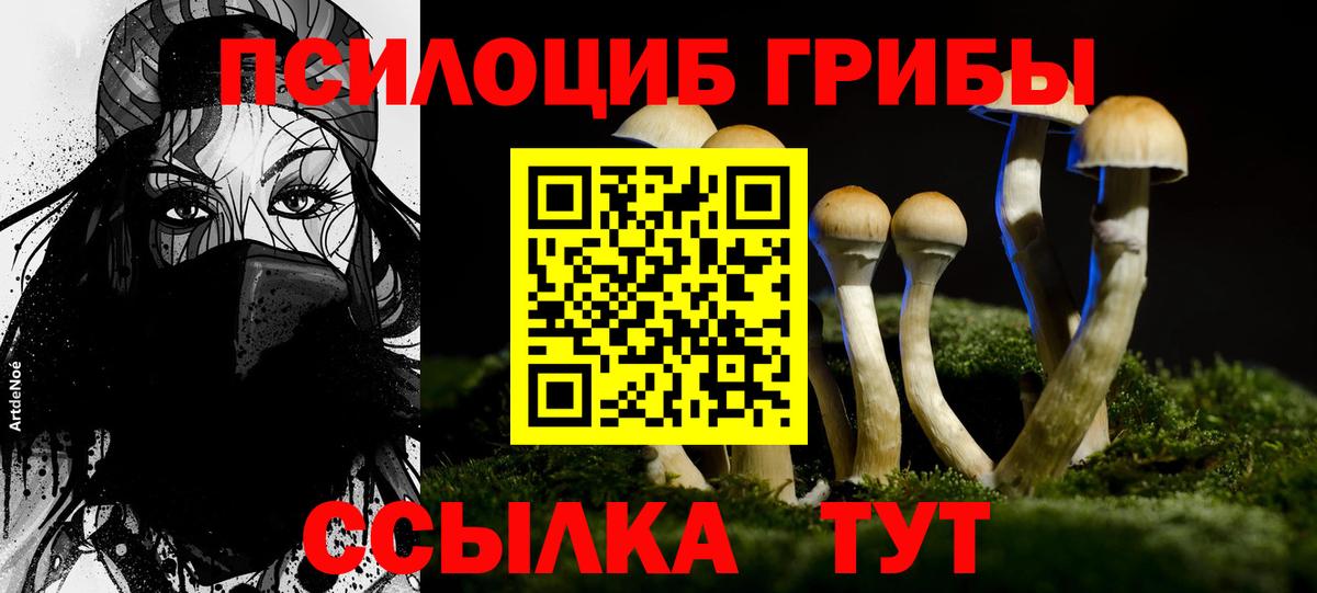 Псилоцибиновые грибы мухоморы Химки
